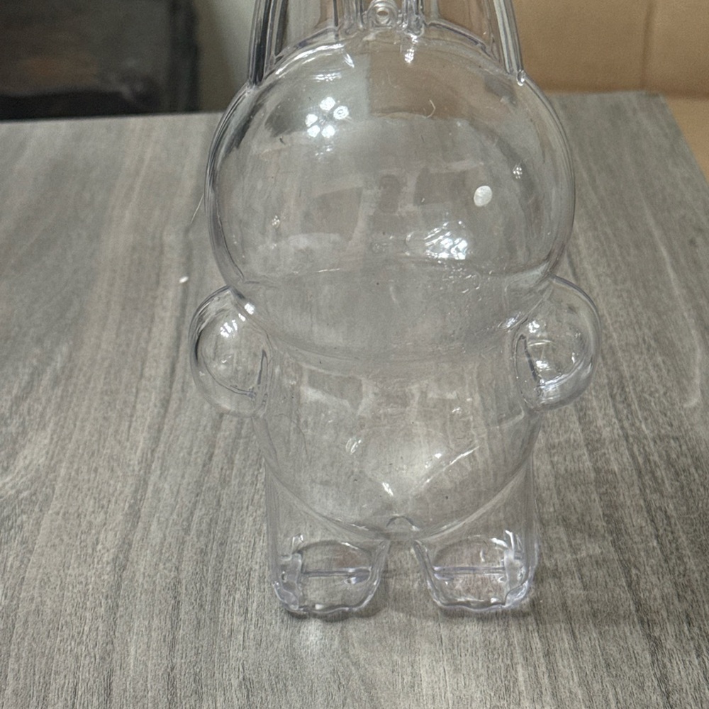Clear Plastic Labubu case